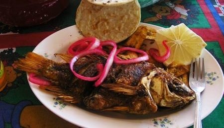 pescado tilapia